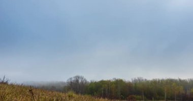 Sonbahar gündoğumu saatinde 4k dağlık çayır zamanı. Vahşi doğa ve kırsal sarı çayır. Yoğun sabah sisi, güneş ışınları ve ağaçlar. Motorlu doli kaydırıcı