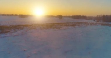 Arktik çayırlı soğuk kış manzarası, karla kaplı ağaçlar ve ufukta sabah güneşleri. Aşırı hava.