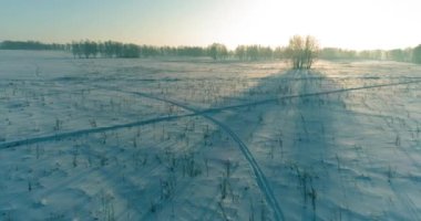 Arktik çayırlı soğuk kış manzarası, karla kaplı ağaçlar ve ufukta sabah güneşleri. Aşırı hava.