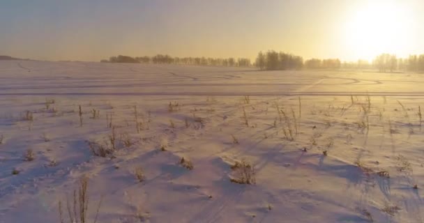 Αεροφωτογραφία Drone Του Κρύου Χειμερινού Τοπίου Αρκτικό Πεδίο Δέντρα Καλυμμένα — Αρχείο Βίντεο