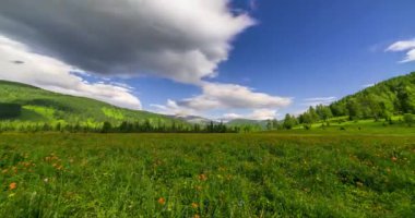 Yaz ya da sonbahar mevsiminde dağdaki çayır zaman atlaması. Vahşi doğa ve kırsal alan. Bulutların hareketi, yeşil çimenler ve güneş ışınları. Motorlu Panorama