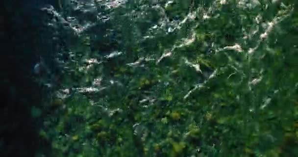 4K航空视点 夏日阳光明媚的早晨 低空飞行在布满岩石的新鲜的高山小河上 翠绿的松树和阳光 清冷的水流 — 图库视频影像