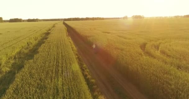 Вид Повітря Молодого Хлопчика Який Їде Велосипеді Траві Пшениці Старій — стокове відео