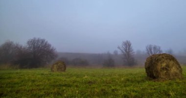 Sonbahar gündoğumu saatinde 4k dağlık çayır zamanı. Vahşi doğa ve çim tarlasında kırsal samanlıklar. Sabah sisi, güneş ışınları ve ağaçlar. Motorlu doli kaydırıcı