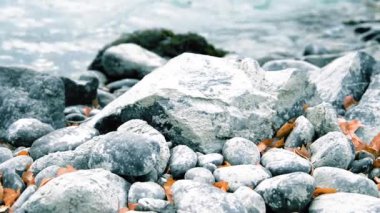 Dağ nehrinde kayalar ve sarı yapraklarla su sıçratan motorlu bebek kaydırağının görüntüsü. Bulutlu sonbahar havasında yatay sabit hareket.