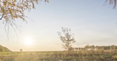 4K UHD düz çayır zamanı yaz veya sonbahar günbatımında. Vahşi Rus doğası ve kırsal alan. Güneş ışınları, ağaçlar, yeşil çimen hareketleri. Motorlu doli kaydırıcı