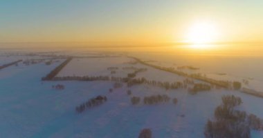 Arktik çayırlı soğuk kış manzarası, karla kaplı ağaçlar ve ufukta sabah güneşleri. Aşırı hava.