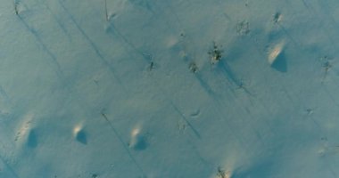 Arktik çayırlı soğuk kış manzarası, karla kaplı ağaçlar ve ufukta sabah güneşleri. Aşırı hava.