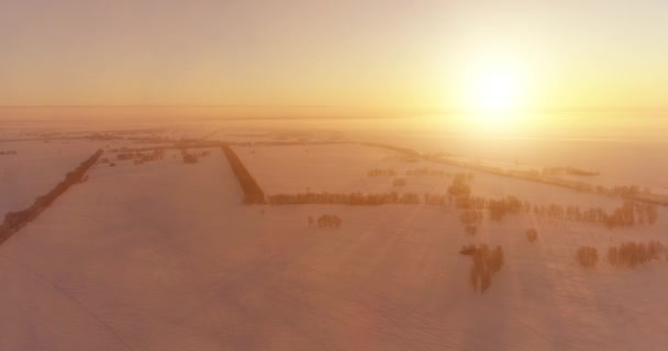 北極のフィールドと寒い冬の風景の空中ドローンビュー 木々が地平線上に霜雪と朝の太陽光線で覆われています 異常気象 — ストック動画
