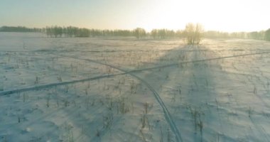 Arktik çayırlı soğuk kış manzarası, karla kaplı ağaçlar ve ufukta sabah güneşleri. Aşırı hava.