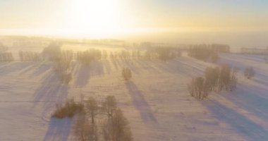 Arktik çayırlı soğuk kış manzarası, karla kaplı ağaçlar ve ufukta sabah güneşleri. Aşırı hava.