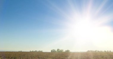 4K UHD düz tepe çayırlık zaman dilimi yaz günbatımında. Vahşi doğa ve kırsal çimler. Güneş ışınları ve yeşil ağaçlar. Motorlu doli kaydırma ve panorama hareketi