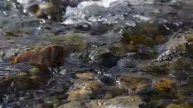Ormanın yakınındaki küçük bir dağ nehrinde akan suyun motorlu bebek kaydırağıyla çekilmiş görüntüsü. Kocaman ıslak kayalar ve güneş ışınları. Kırsal bölgede yatay sabit hareket. Çiğ düz renkler.