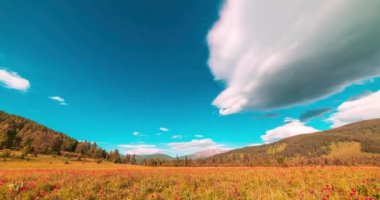 Yaz ya da sonbahar mevsiminde dağdaki çayır zaman atlaması. Vahşi doğa ve kırsal alan. Bulutların hareketi, yeşil çimenler ve güneş ışınları. Motorlu Panorama