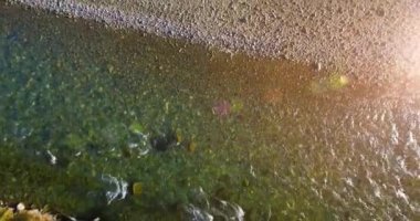 4K hava bakış açısı. Güneşli yaz sabahında, taze, hızlı dağ nehri üzerinde kayalıklarla alçak irtifa uçuşu. Yeşil çam ağaçları ve güneş ışınları. Saf soğuk su akıntısı.