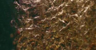 4K hava bakış açısı. Güneşli yaz sabahında, taze, hızlı dağ nehri üzerinde kayalıklarla alçak irtifa uçuşu. Yeşil çam ağaçları ve güneş ışınları. Saf soğuk su akıntısı.