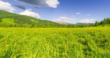 Yaz ya da sonbahar mevsiminde dağdaki çayır zaman atlaması. Vahşi doğa ve kırsal alan. Bulutların hareketi, yeşil çimenler ve güneş ışınları. Motorlu Panorama
