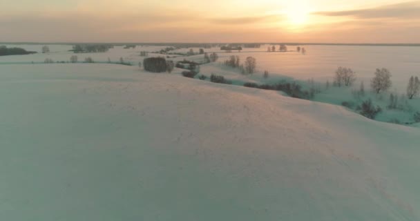 Drone Vista Aérea Paisagem Fria Inverno Campo Ártico Árvores Cobertas — Vídeo de Stock