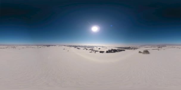 360 드론으로 북극권의 풍경을 수있으며 나무들 지평선 너머로 내려다 보인다 — 비디오