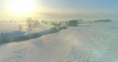 Soğuk kış kutup bölgesinin insansız hava görüntüsü, ufukta karla kaplı ağaçlar, buz nehri ve güneş ışınları. Aşırı düşük sıcaklık havası.