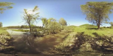 4K 360 VR Bir nehrin Sanal Gerçekliği Altay Rusya dağları ormanları ve çayırlarındaki bu güzel manzarada kayaların üzerinden akıyor