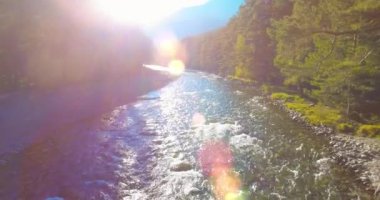 4K hava bakış açısı. Güneşli yaz sabahında, taze, hızlı dağ nehri üzerinde kayalıklarla alçak irtifa uçuşu. Yeşil çam ağaçları ve güneş ışınları. Saf soğuk su akıntısı.