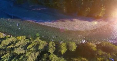 4K hava bakış açısı. Güneşli yaz sabahında, taze, hızlı dağ nehri üzerinde kayalıklarla alçak irtifa uçuşu. Yeşil çam ağaçları ve güneş ışınları. Saf soğuk su akıntısı.