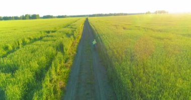 Kırsal yoldaki bir çim tarlasında bisiklet süren genç bir çocuğun hava manzarası. Sıcak güneş ışığı ve ışınlar ile yaz zamanı çayırı. Sağlıklı çocukluk kavramı.