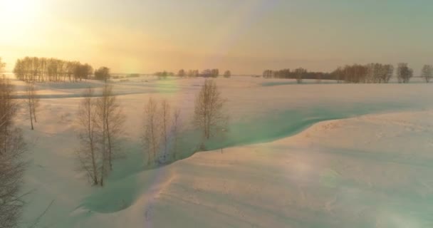 Drone Εναέρια Άποψη Του Κρύου Χειμερινού Τοπίου Αρκτικό Πεδίο Δέντρα — Αρχείο Βίντεο