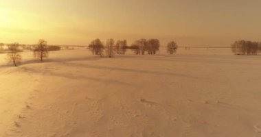 Soğuk kış kutup bölgesinin insansız hava görüntüsü, ufukta karla kaplı ağaçlar, buz nehri ve güneş ışınları. Aşırı düşük sıcaklık havası. Sibirya