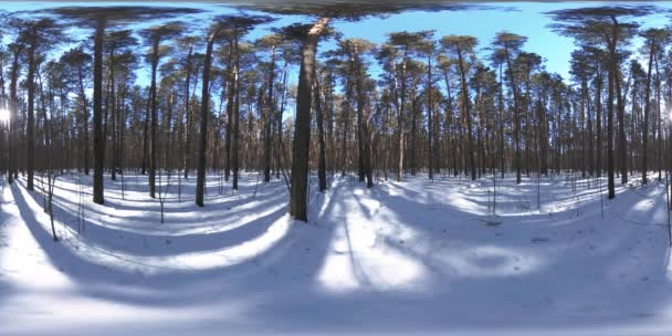 360 Bellissimo Paesaggio Innevato Nella Natura Selvaggia Siberiana Durante Inverno — Video Stock