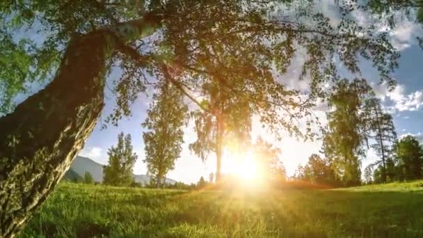 Время Горном Лугу Летом Осенью Дикая Природа Сельское Поле Облака — стоковое видео
