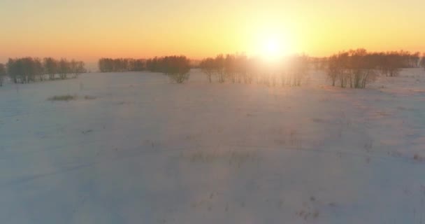 Vue Aérienne Par Drone Paysage Hivernal Froid Avec Champ Arctique — Video