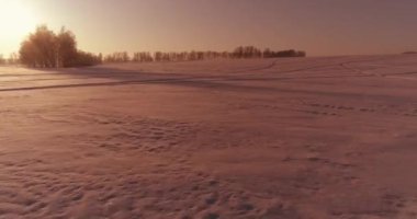 Arktik çayırlı soğuk kış manzarası, karla kaplı ağaçlar ve ufukta sabah güneşleri. Aşırı hava.