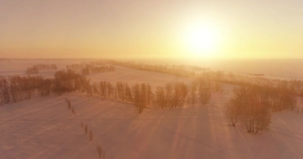 Drohnenaufnahme Der Kalten Winterlandschaft Mit Arktischem Feld Bäumen Die Mit — Stockvideo