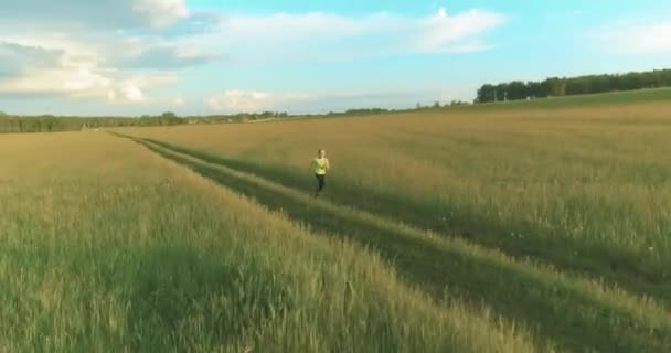 Aerial Shoot Sporty Child Runs Wheat Field Evening Sport Training — Stock Video