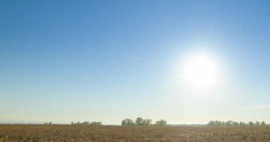 4K UHD düz tepe çayırlık zaman dilimi yaz günbatımında. Vahşi doğa ve kırsal çimler. Güneş ışınları ve yeşil ağaçlar. Motorlu doli kaydırma ve panorama hareketi