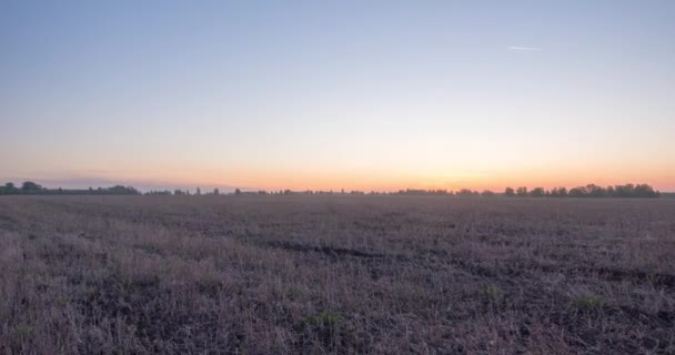 Uhd Плоский Холм Meadow Timelapse Летнее Время Восхода Солнца Дикая — стоковое видео