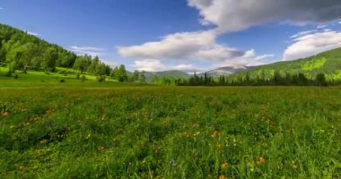 Yaz ya da sonbahar mevsiminde dağdaki çayır zaman atlaması. Vahşi doğa ve kırsal alan. Bulutların hareketi, yeşil çimenler ve güneş ışınları. Motorlu Panorama