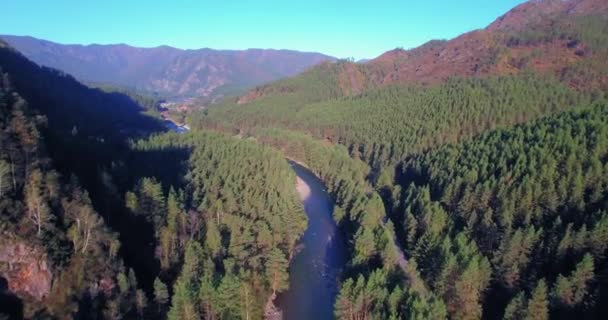 Aerial Point View Low Altitude Flight Fresh Fast Mountain River — Stock Video