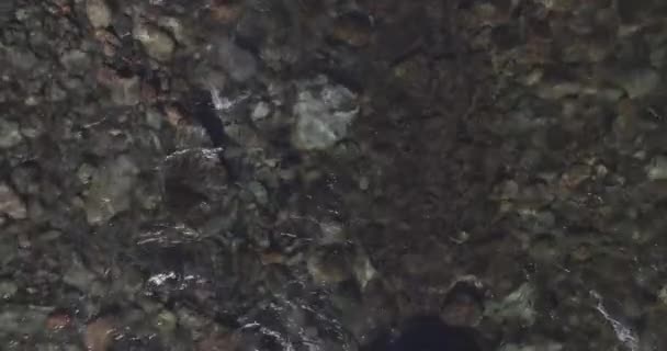 Повітряна Точка Зору Низька Висота Польоту Над Прісною Гірською Річкою — стокове відео