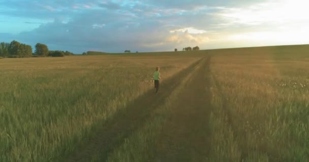一个活泼孩子的空中射击穿过一片麦田 在农村草地上进行夜间体育训练 幸福的童年是一种健康的生活方式 户外运动过道 径向运动 — 图库视频影像
