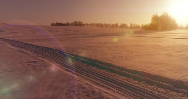 Veduta Aerea Drone Del Freddo Paesaggio Invernale Con Campo Artico — Video Stock