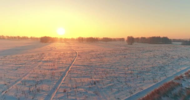 Drohnenaufnahme Der Kalten Winterlandschaft Mit Arktischem Feld Bäumen Die Mit — Stockvideo