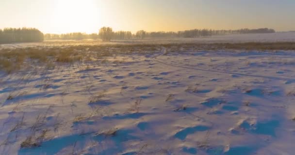 北極のフィールドと寒い冬の風景の空中ドローンビュー 木々が地平線上に霜雪と朝の太陽光線で覆われています 異常気象 — ストック動画