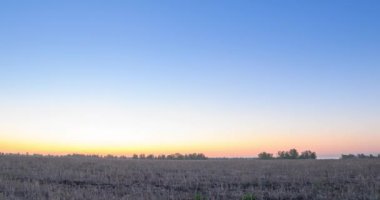 4K UHD düz tepe çayırlık zaman dilimi yaz gündoğumu zamanı. Vahşi doğa ve kırsal çimler. Güneş ışınları ve yeşil ağaçlar. Motorlu doli kaydırma ve panorama hareketi