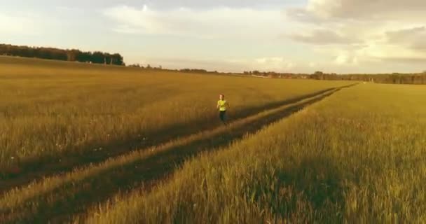 スポーティな子供の空中撮影は小麦畑を通って実行されます 田舎の牧草地で夜のスポーツトレーニング演習 幸せな子供時代は健康的な生き方です 屋外走行トランザクション 放射状の動き太陽 — ストック動画