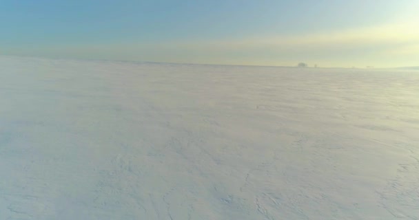 Letecký Pohled Studenou Zimní Krajinu Arktického Pole Stromy Pokryté Mrazivým — Stock video