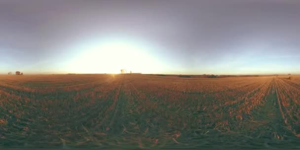 360次航拍在阳光明媚的秋夜 低空飞越乡村的夏季风景 伴随着无尽的绿地 地平线上的太阳光 快速水平运动 农田无人侦察机射击 停住了 — 图库视频影像