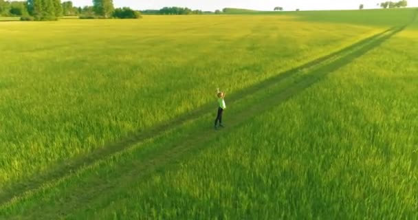 高举双手站在青绿的麦田里 空中拍着一个活泼的孩子 在农村草地上进行夜间体育训练 幸福的童年是一种健康的生活方式 雷达全景运动 — 图库视频影像